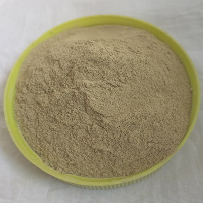 改性硅藻精土 硅藻土污水处理剂 150-200目 8# 城市污水处理 电镀污水处理