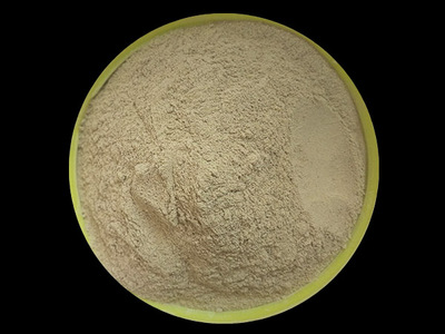 改性硅藻精土 硅藻土污水处理剂 150-200目 6# 河道污水处理